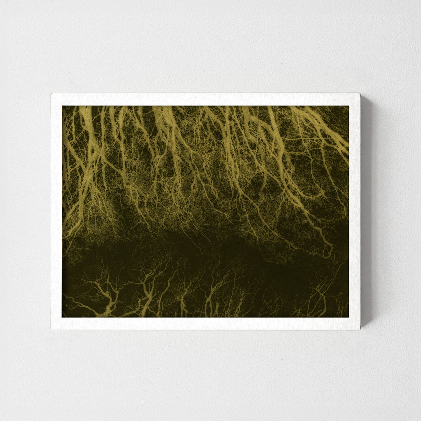 Dark woods