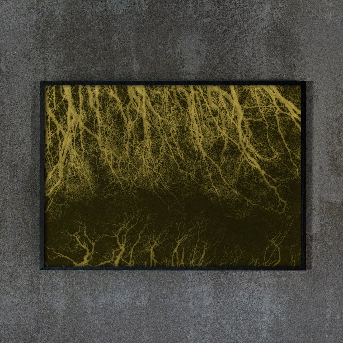 Dark woods