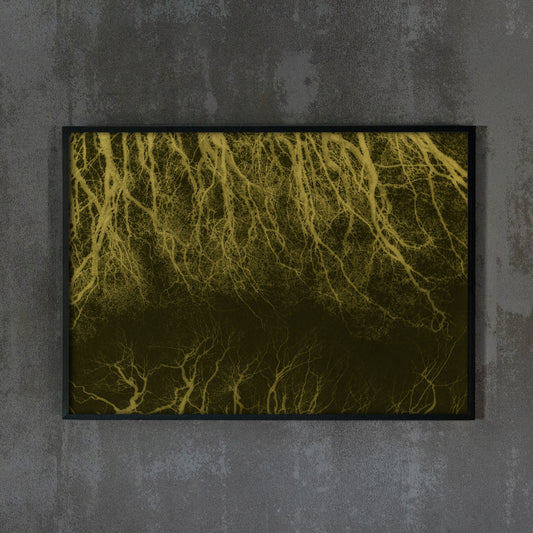 Dark woods
