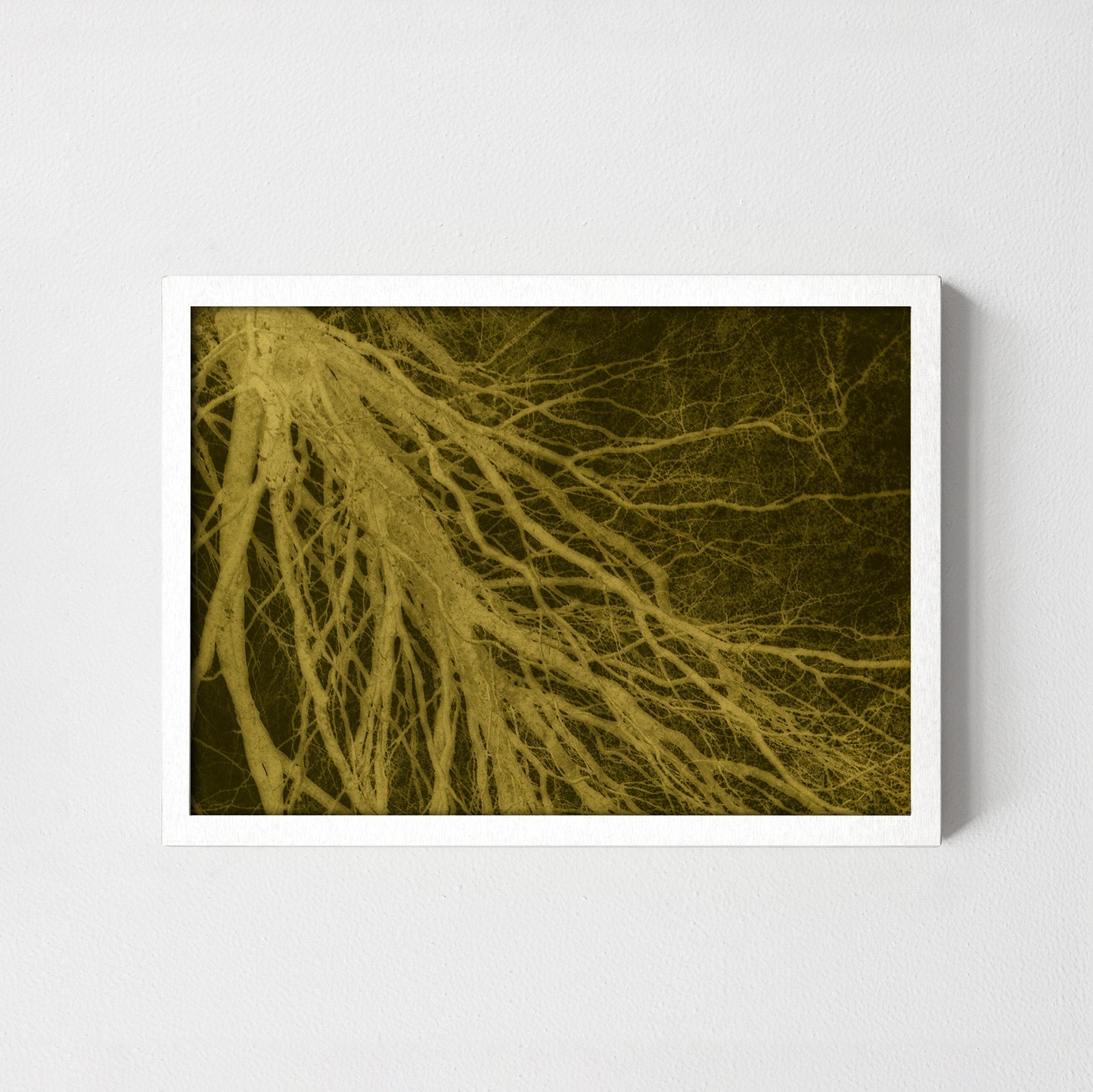 Tree branch