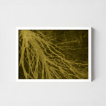 Tree branch
