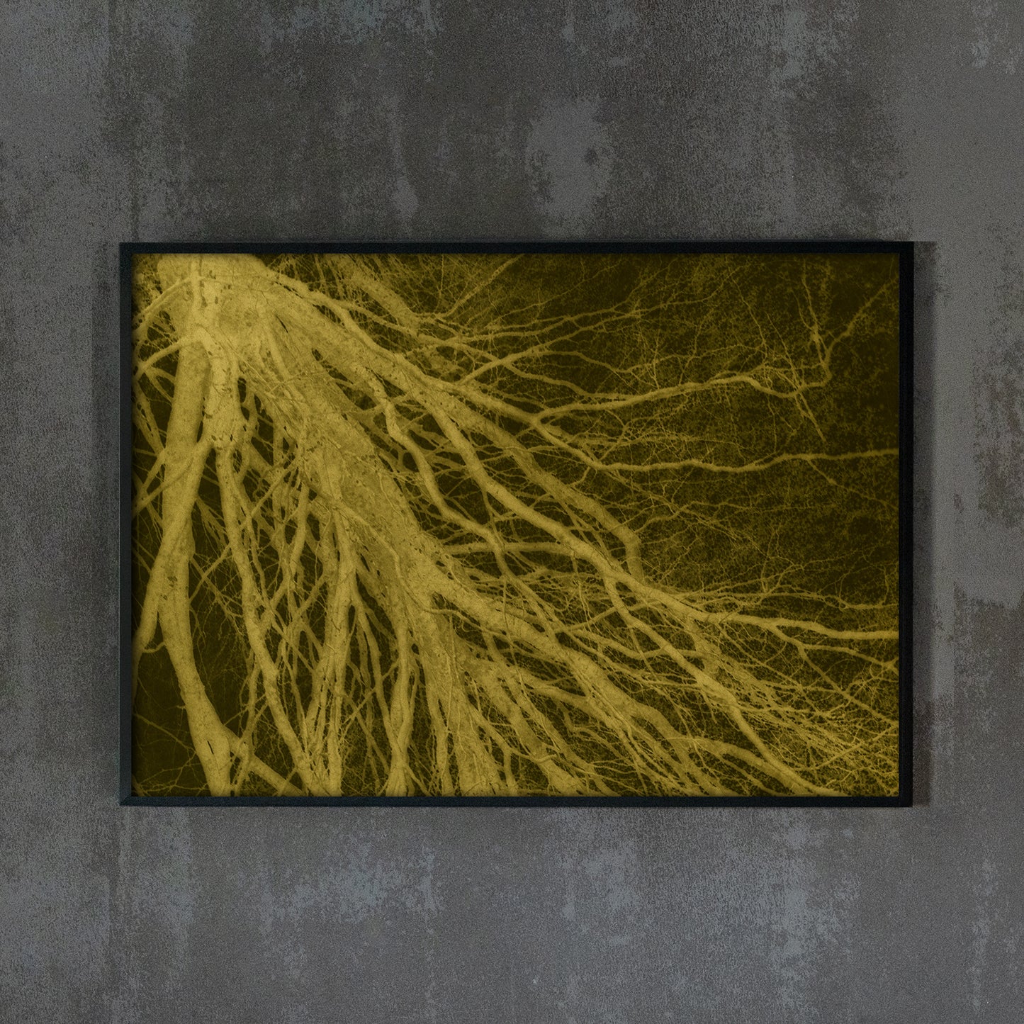 Tree branch