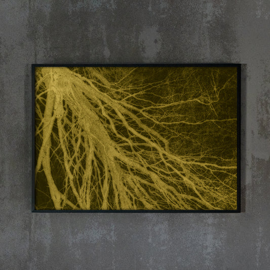 Tree branch